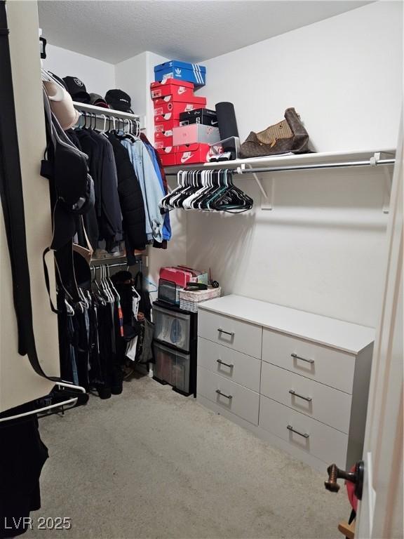 walk in closet featuring carpet