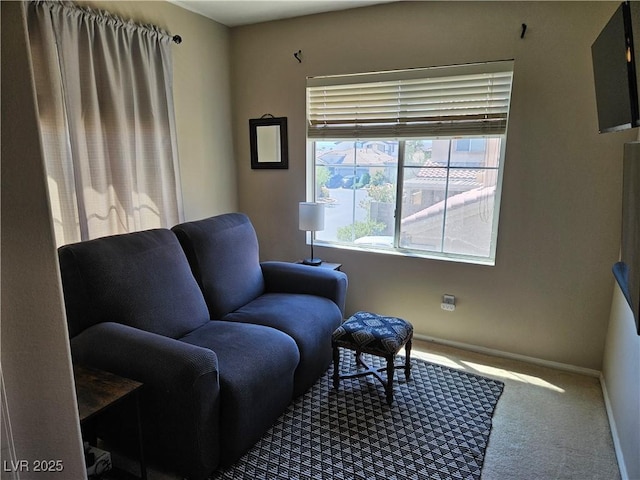 living area with carpet and baseboards