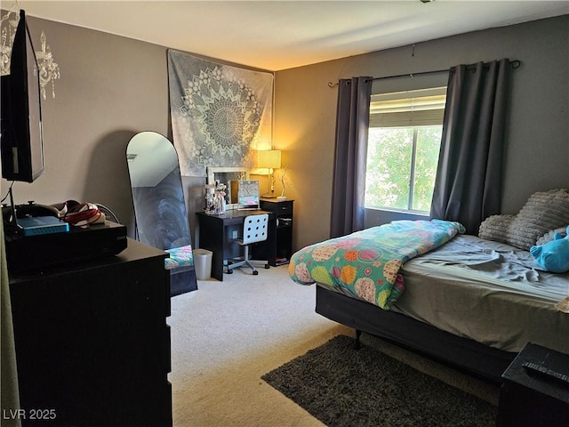 bedroom featuring carpet flooring
