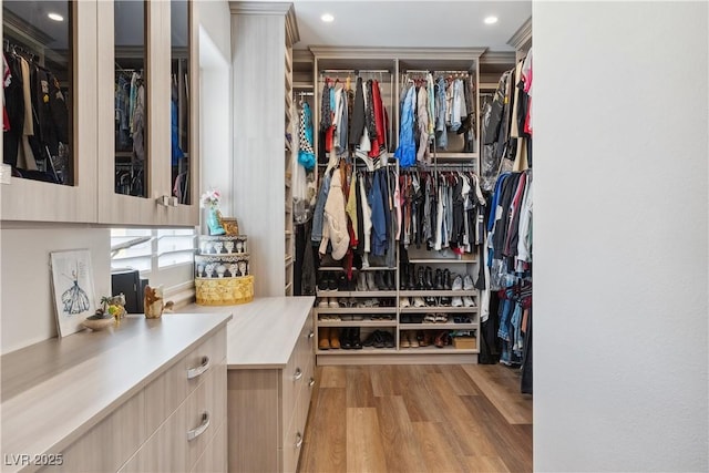 walk in closet featuring wood finished floors