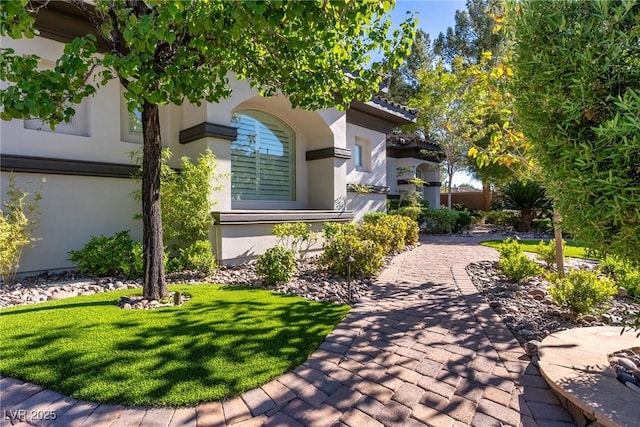 surrounding community featuring a lawn