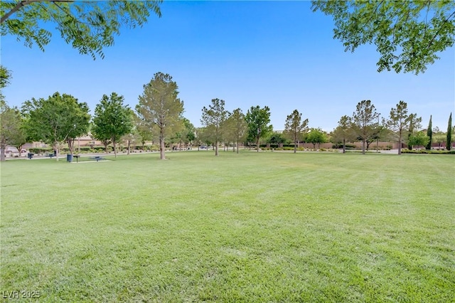 surrounding community featuring a lawn