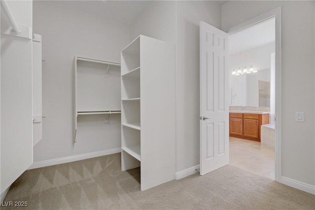 spacious closet with light colored carpet