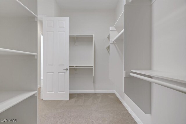 spacious closet featuring carpet