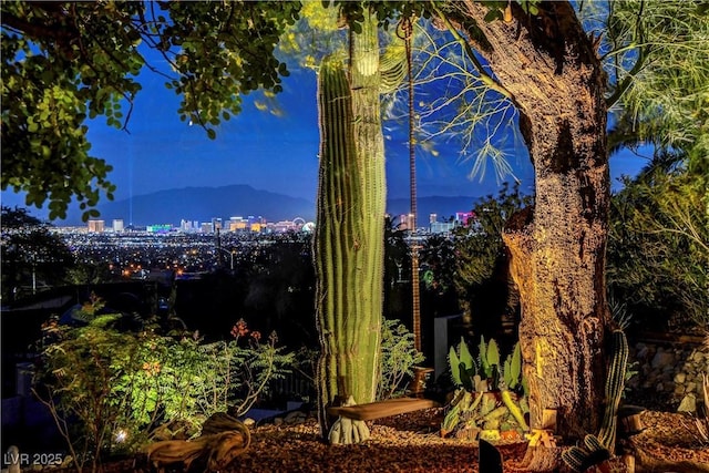 853 Morning Sun Ct, Las Vegas, NV 89110 - photo 2