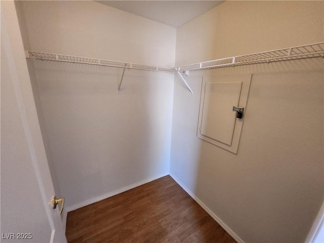 walk in closet with dark wood-style flooring