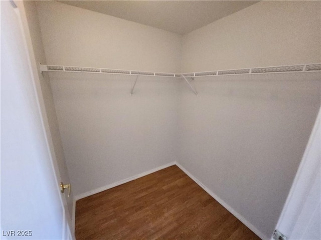 spacious closet featuring dark wood-type flooring