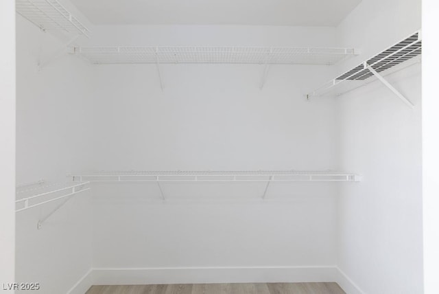 spacious closet featuring light wood finished floors