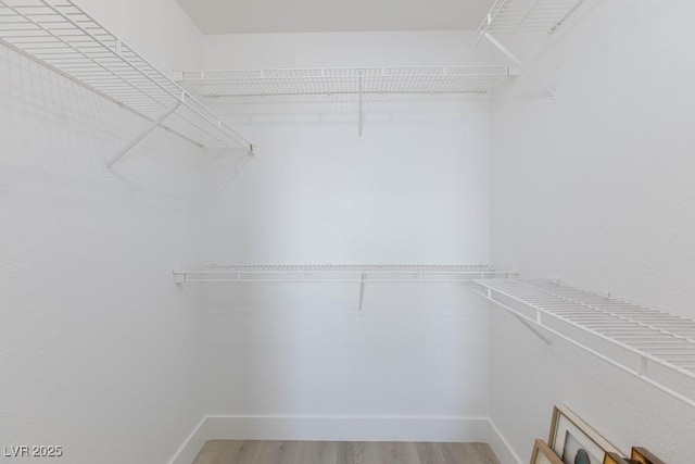 spacious closet featuring light wood-style flooring