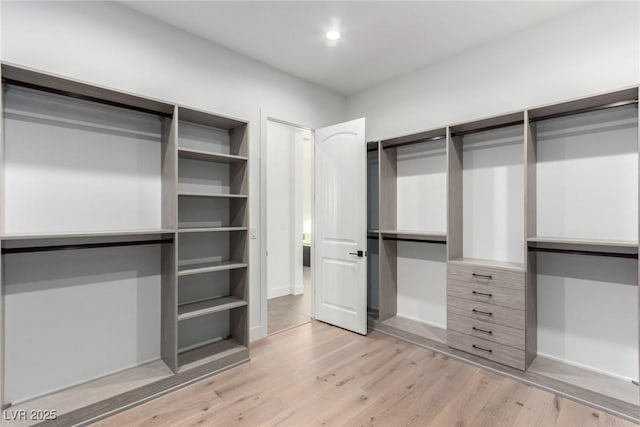 walk in closet with light wood finished floors