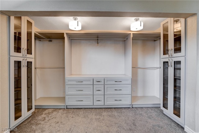 6117 Foxcroft Ave, Las Vegas, NV 89108 - walk in closet with carpet