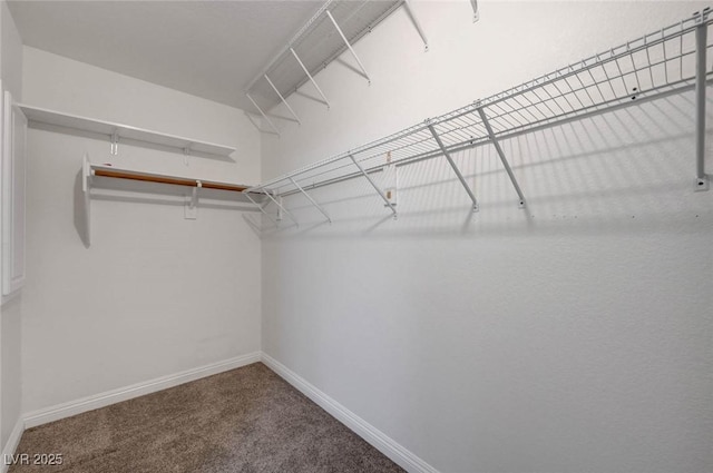 spacious closet with carpet