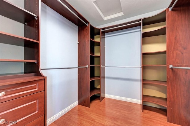 281 Powerbilt Ave, Las Vegas, NV 89148 - walk in closet featuring light wood-type flooring and attic access