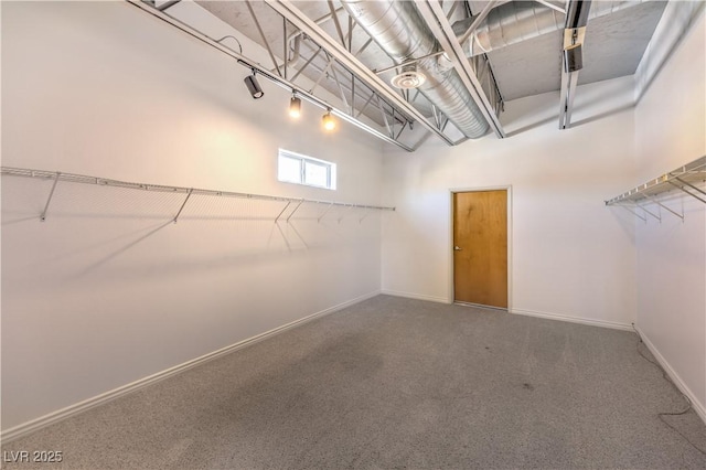 walk in closet featuring carpet floors