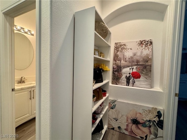 5422 Nestled Moon Ct, Las Vegas, NV 89131 - storage area with a sink