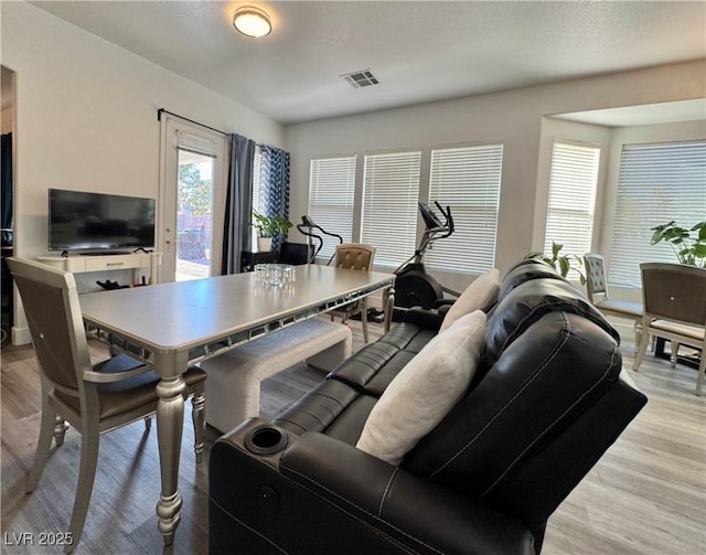 5422 Nestled Moon Ct, Las Vegas, NV 89131 - living room featuring wood finished floors