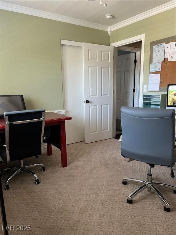 carpeted office space with ornamental molding