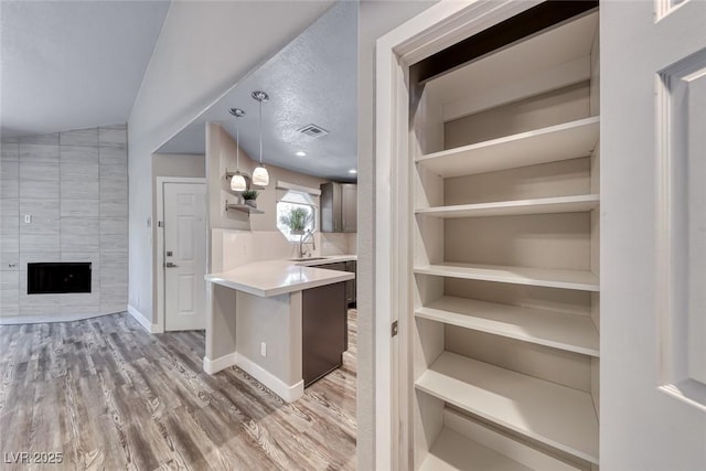 pantry featuring a sink