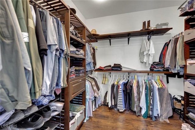spacious closet featuring wood finished floors