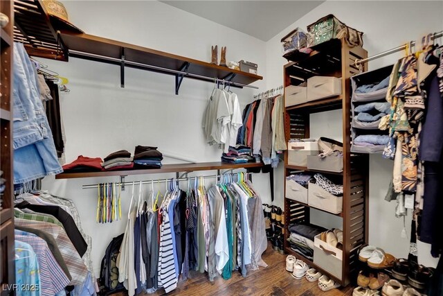 spacious closet featuring wood finished floors
