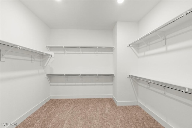10851 Hanwicke Harbor Ave, Las Vegas, NV 89166 - walk in closet with carpet floors