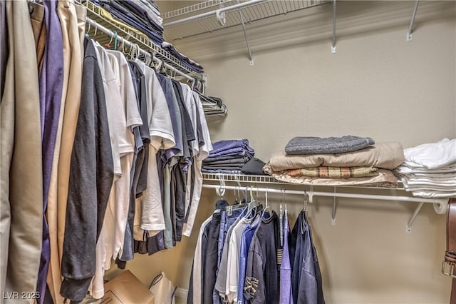 6559 Musette Ave, Las Vegas, NV 89139 - view of walk in closet