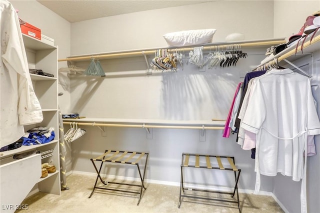 5650 Pleasant Palms St, North Las Vegas, NV 89081 - view of spacious closet
