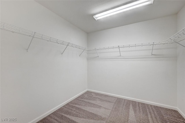 8056 Haywood Estate Ave, Las Vegas, NV 89113 - walk in closet featuring carpet floors