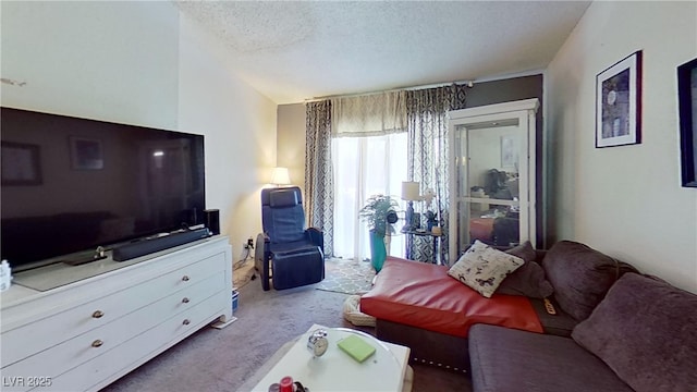 living area with carpet floors and a textured ceiling