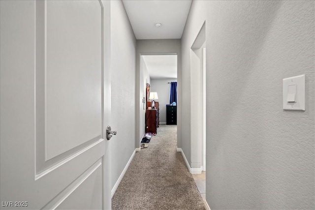 3708 Fuselier Dr, North Las Vegas, NV 89032 - hallway with baseboards, carpet floors, and a textured wall