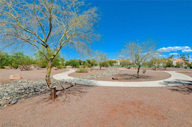 view of property's community