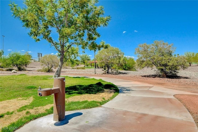 view of community with a yard
