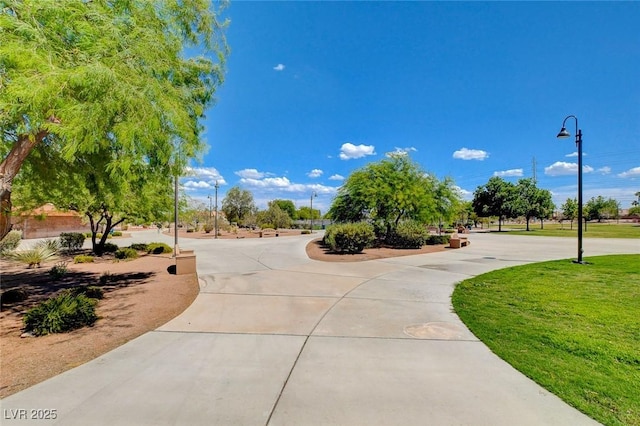 view of community with a yard