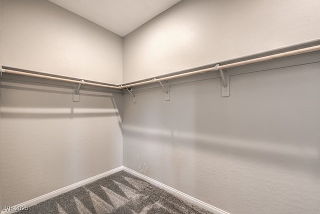 walk in closet with carpet floors