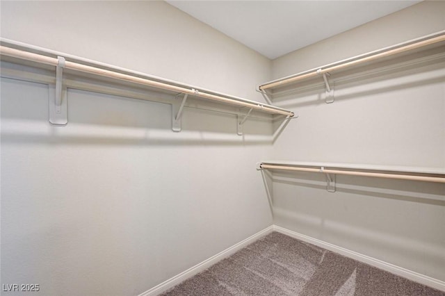 walk in closet featuring carpet