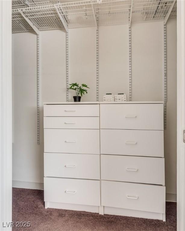 spacious closet with dark carpet