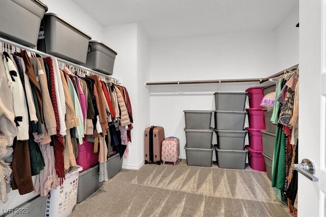 walk in closet featuring carpet