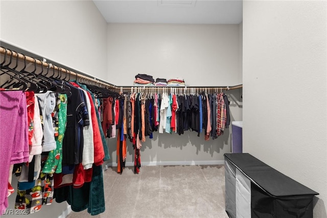 8929 Cassia Winds St, Las Vegas, NV 89166 - walk in closet featuring carpet flooring and attic access