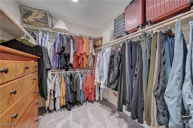 387 Larksong Ave, Henderson, NV 89011 - walk in closet featuring carpet flooring