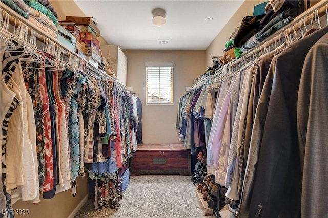 spacious closet with carpet flooring