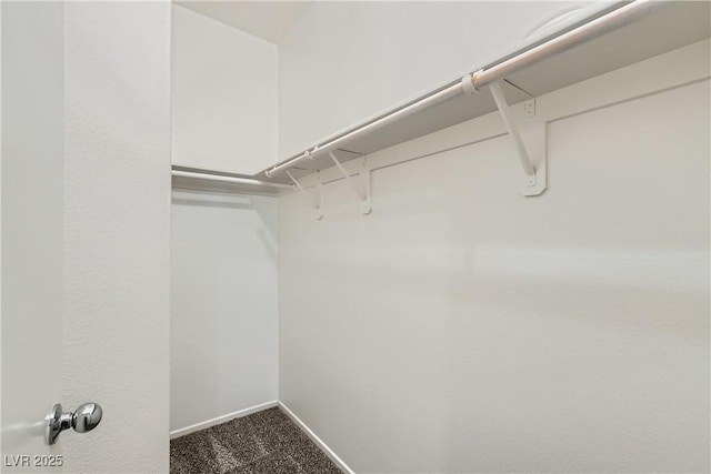 5915 Nuevo Leon St Unit 8, North Las Vegas, NV 89031 - walk in closet with dark colored carpet