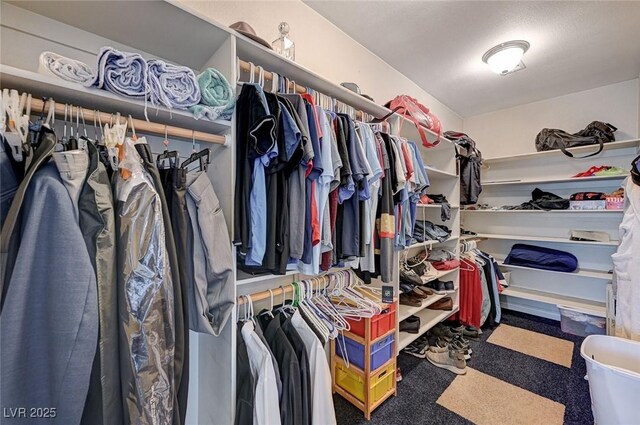 1420 Logandale Dr, Logandale, NV 89021 - walk in closet with carpet floors
