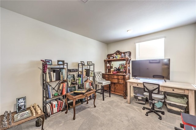 office space with carpet