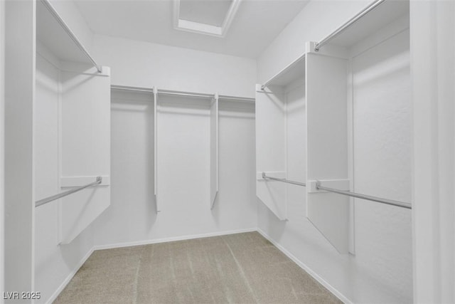 walk in closet with carpet