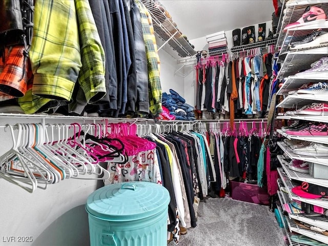 spacious closet featuring carpet