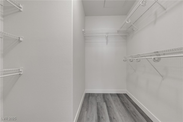 spacious closet featuring wood finished floors