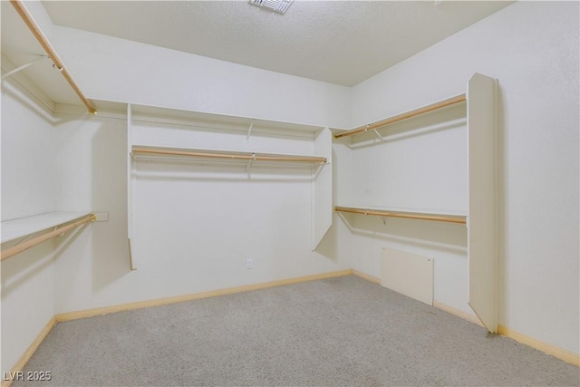 1931 Pago Ct, Las Vegas, NV 89117 - walk in closet with carpet