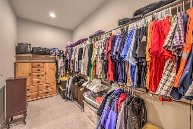 4893 E Cedar Creek Way, Pahrump, NV 89061 - spacious closet featuring carpet floors