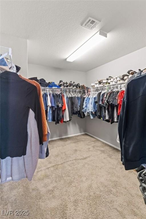 walk in closet with carpet flooring