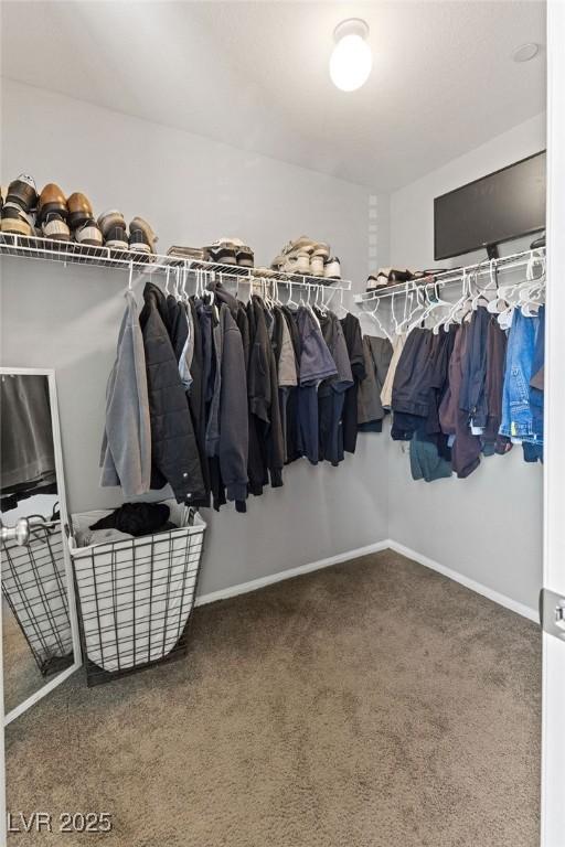 spacious closet featuring carpet floors